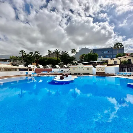 Agave 8 (adults Only) * 阿德耶