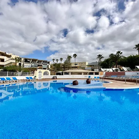 Agave 8 (adults Only) 阿德耶