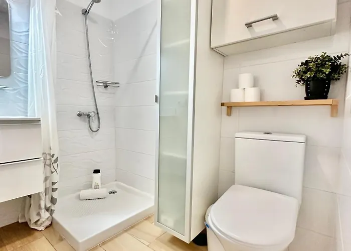 Agave 8 (adults Only) 아데제