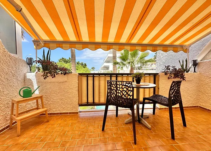 Agave 8 (adults Only) 아데제