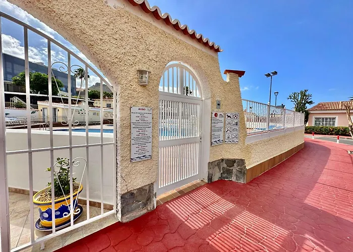 Agave 8 (adults Only) Адехе