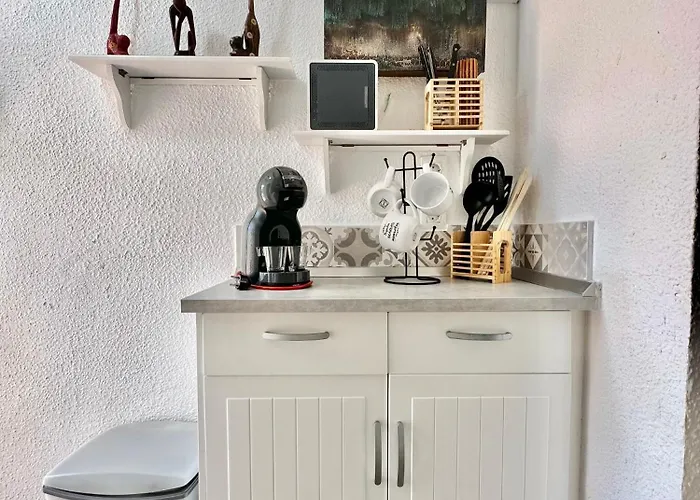 Agave 8 (adults Only) *